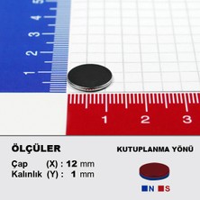 NeoHobi Neodyum Mıknatıs D12x1 Çap 12 mm Kalınlık 1 mm Çok Güçlü Mıknatıs 20 Adet