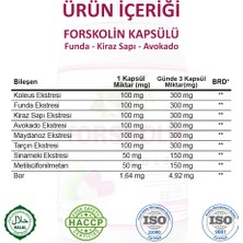 Gökçek Şifa Forskolin Kapsül (COLEUS CAPSULE)