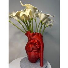 Nkateiler Nk Ateiler Gerçekçi Anatomik Kalpli Vazo 18  cm