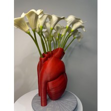 Nkateiler Nk Ateiler Gerçekçi Anatomik Kalpli Vazo 18  cm
