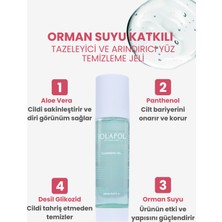 Jolapol Tazeleyici ve Arındırıcı Yüz Temizleme Jeli - GEL01- Orman Suyu Özlü Ferahlatıcı Etki 150 ml