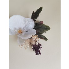 Bivalvia Accessories Damat Yaka Çiçeği