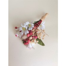 Bivalvia Accessories Damat Yaka Çiçeği