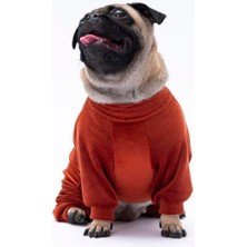 Pawstar Kiremit Bonjour Kadife Küçük Irk Köpek Tulumu