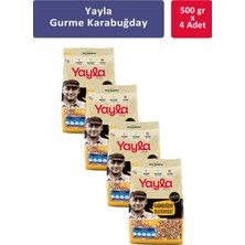 Yayla Gurme Karabuğday 500 gr x 4 Adet