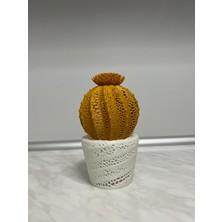 Papusita Kaktüs Gece Lambası Cactus Night Light - Iki Renkli