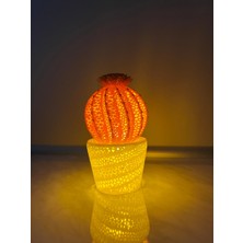 Papusita Kaktüs Gece Lambası Cactus Night Light - Iki Renkli