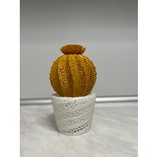 Papusita Kaktüs Gece Lambası Cactus Night Light - Iki Renkli