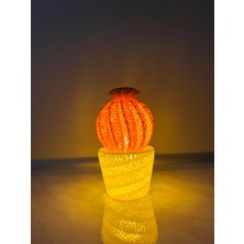 Papusita Kaktüs Gece Lambası Cactus Night Light - Iki Renkli