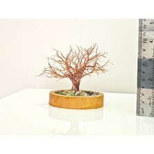 Efiloğlu Design Yalın Ağacın Zerafeti | Bonsai Tel Ağaç | doğum günü hediyesi | ev dekorasyonu | yapay ağaç | hediyelik eşya | dekoratif ürünler|