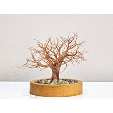 Efiloğlu Design Yalın Ağacın Zerafeti | Bonsai Tel Ağaç | doğum günü hediyesi | ev dekorasyonu | yapay ağaç | hediyelik eşya | dekoratif ürünler|