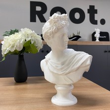 Root Made Apollo Büst Antik Yunan Heykel 25CM Michelangelo Apollon Büstü