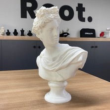 Root Made Apollo Büst Antik Yunan Heykel 25CM Michelangelo Apollon Büstü