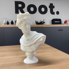 Root Made Apollo Büst Antik Yunan Heykel 25CM Michelangelo Apollon Büstü