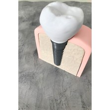 Cestopieno Diş Implantı Çıkarılabilir Uygulama Öğretim Yardımcısı Maket / Dental Implant Model