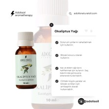 Adolis Oil Aromatherapy Okaliptus Uçucu Yağı 10 Ml[eucalyptus Essential Oil]