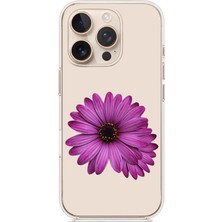 Zeyno Apple iPhone 11 Pro Max Uyumlu Mor Çiçek Desenli Silikon Kılıf