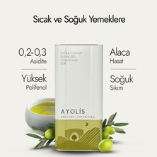 Ayolis Premium Chef Zeytinyağı 5 Lt Ödüllü Yüksek Polifenollü Soğuk Sıkım Natürel Sızma Zeytinyağı