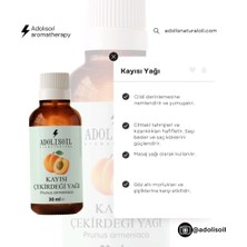 Kayısı Çekirdeği Yağı Soğuk Sıkım - Apricot Oil 30 ml