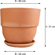 Floralia Plant Floralia Plant/ Perge Model Toprak Saksı / El Yapımı