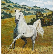 Limitless Design Dekoratif The White Horse Duvar Hd Baskı Kanvas Tablo