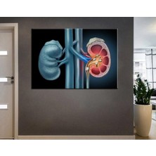 Limitless Design Poliklinik Klinik Hastane Dekorasyonu Medikal Hastane Tabloları Hst-82