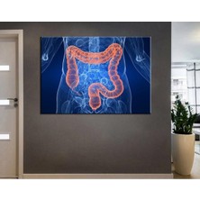 Limitless Design Poliklinik Klinik Hastane Dekorasyonu Medikal Hastane Tabloları Hst-60