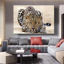Limitless Design Dekoratif Tiger Hd Baskı Kanvas Tablo