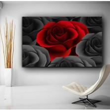Limitless Design Tasarım Kırmızı Gül Hd Baskı Kanvas Tablo