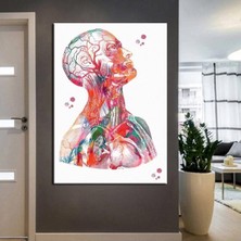 Limitless Design Poliklinik Klinik Hastane Dekorasyonu Medikal Hastane Tabloları Hst-20