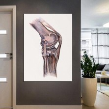 Limitless Design Poliklinik Klinik Hastane Dekorasyonu Medikal Hastane Tabloları Hst-101