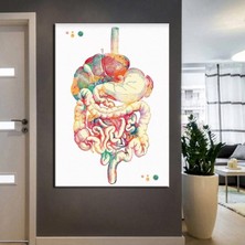 Limitless Design Poliklinik Klinik Hastane Dekorasyonu Medikal Hastane Tabloları Hst-22