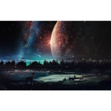 Limitless Design Ayışığı ve Orman Hd Baskı Kanvas Tablo