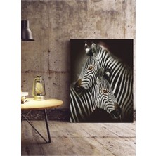 Limitless Design Zebra Hd Baskı Kanvas Tablo