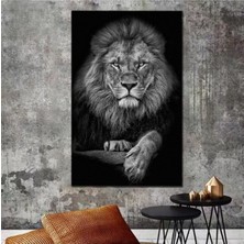 Limitless Design Aslan Leopar Hd Baskı Kanvas Tablo