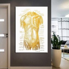 Limitless Design Poliklinik Klinik Hastane Dekorasyonu Medikal Hastane Tabloları Hst-10