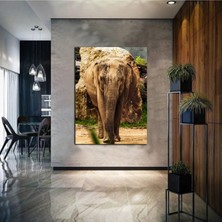 Limitless Design Yağlı Boya Efektli Soyut Fil Tablosu 14 Harikabirev