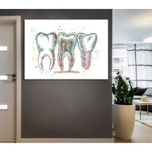 Limitless Design Ağız ve Diş Sağlığı Polikliniği Tabloları Dekoratif Diş, Dekoratif Dişçi, Dişçi Dekorasyonu