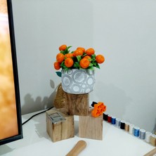 Objevi Saksıda Yapay Mandalina