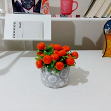 Objevi Saksıda Yapay Mandalina