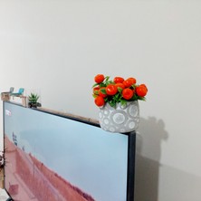 Objevi Saksıda Yapay Mandalina