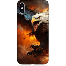 Teknomeg Apple iPhone Xs Uyumlu Kartal Savaş  Desenli Silikon Kılıf