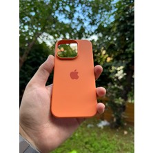 Meri Case Iphone 16 Pro Uyumlu Logolu Içi Kadife Lansman Kılıf Arka Kapak