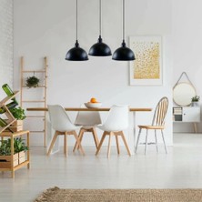 Riolight  Sarkıt Avize