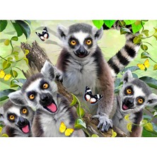 Prime 3D - Lemur Pelüş ve Selfie 48 Parça Puzzle 15801