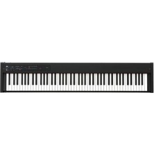 Korg D1 Digital Piano