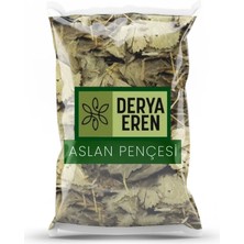 Derya Eren Aslan Pençesi Testere Dişli 100 gr