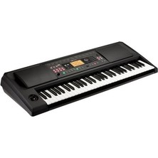 Korg Entertainer Keyboard