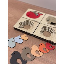 Katmanlı Puzzle 4lü Eğitici Tak-Çıkar Set Montessori Set Puzzle Eğitici Oyuncak 4lü Set Katmanlı