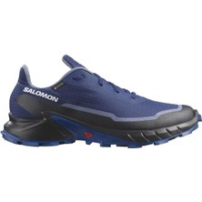 Salomon Alphacross 5 Gtx Erkek Patika Koşusu Ayakkabısı